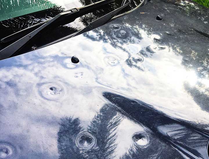 Auto Hail Repair Hail Damage Removal The Hail Shop USA